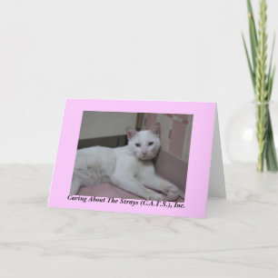 Cartão Helmut Notecards