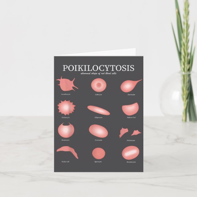 Cartão Hematologia Laboratório de Células Vermelhas do Sa (Frente)