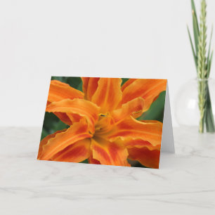 Cartão Hemerocallis
