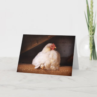Cartão hen&frango