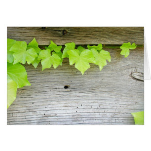 Cartão Hera nova, madeira velha