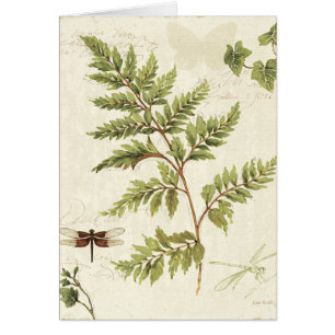 Cartão Heras e samambaias