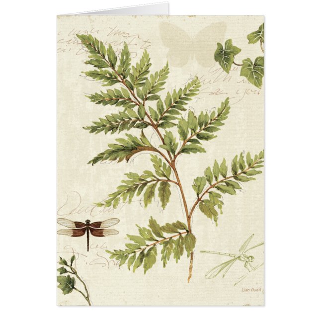 Cartão Heras e samambaias (Frente)