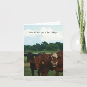 Cartão Herd it was Your Birthday Cow Card