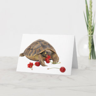 Cartão Hermann Tortoise and Strawberries