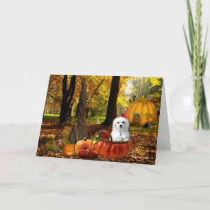 Cartão Hermes o maltês