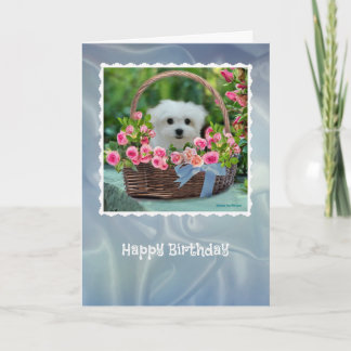 Cartão Hermes the Maltese Birthday Card