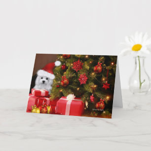 Cartão Hermes the Maltese Christmas Greeting Card