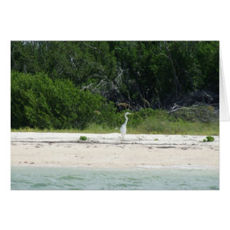 Cartão Heron