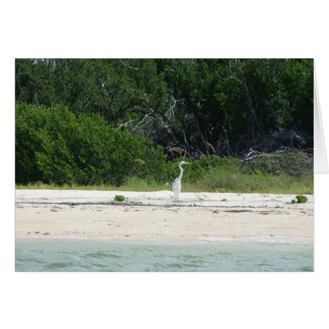 Cartão Heron (Frente horizontal)