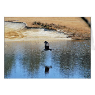 Cartão Heron aproveitando o campo de golfe