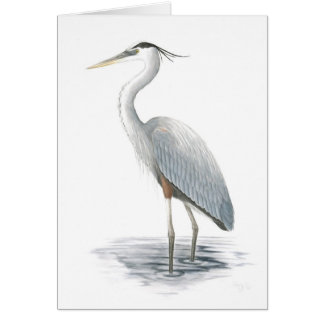 Cartão Heron Azul excelente