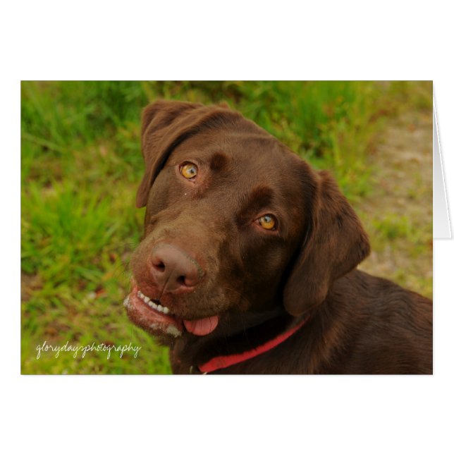 Cartão Hershey (Frente Horizontal)