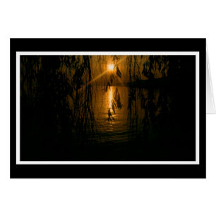 Cartão Herzliche Anteilnahme 1 Karte