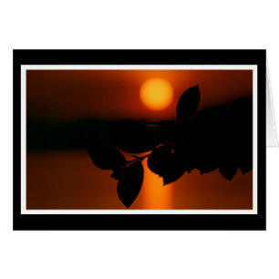 Cartão Herzliche Anteilnahme Karte