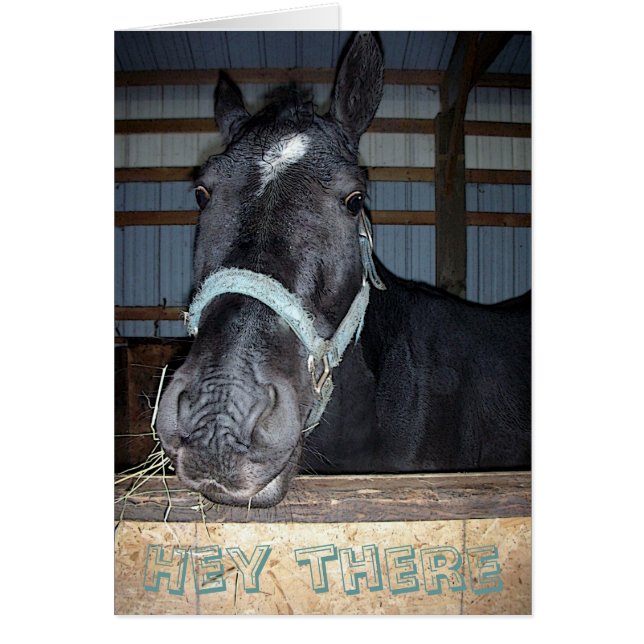 Cartão Hey lá carde (Frente)