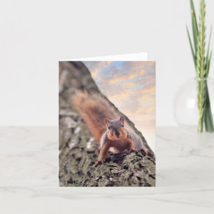 Cartão Hey, What's Up Note Card