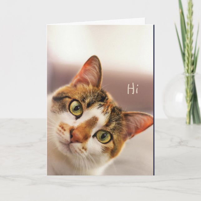 Cartão Hi Hello How are You? Cute Cat Kitten Animal Humor (Frente)
