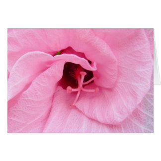 Cartão Hibisco Rosa