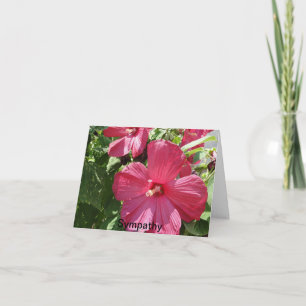 Cartão Hibisco Rosa Quente, Simpatia