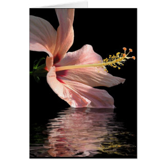 Cartão Hibiscus