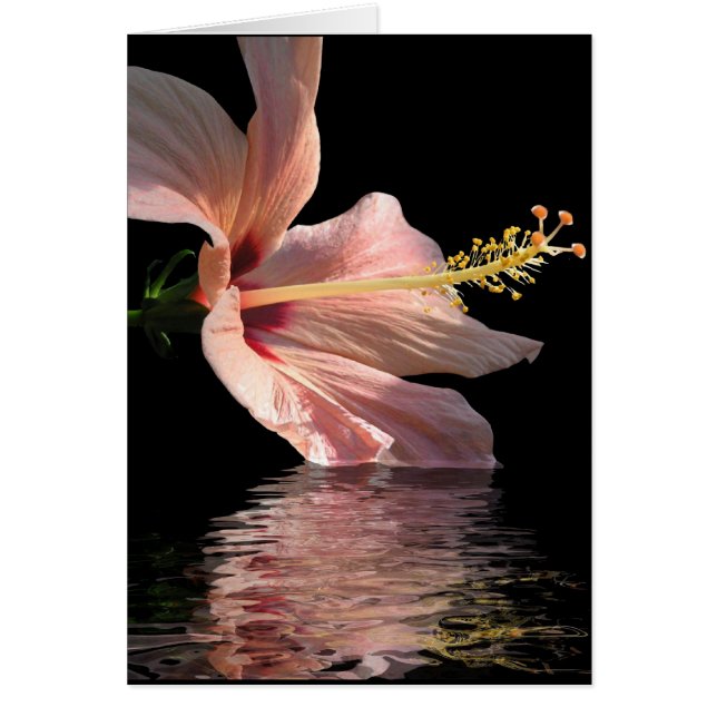 Cartão Hibiscus (Frente)