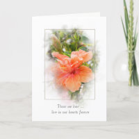 hibiscus alaranjado para a simpatia