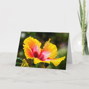 Cartão Hibiscus Bright Yellow com Red Heart