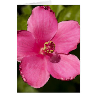 Cartão Hibiscus cor-de-rosa