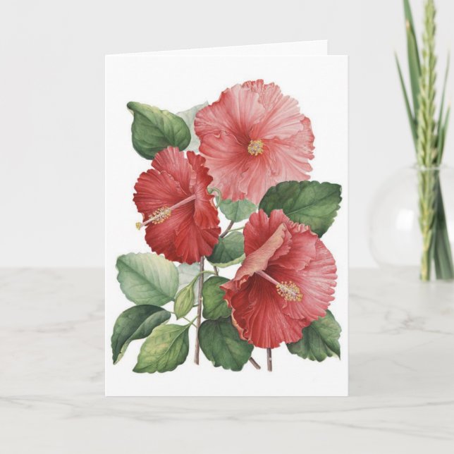 Cartão Hibiscus cor-de-rosa do vintage, (Frente)
