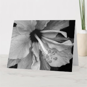 Cartão Hibiscus Flyer