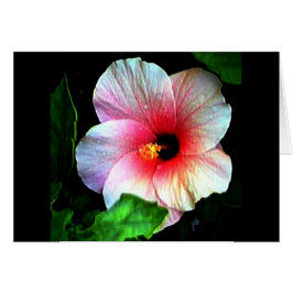 Cartão Hibiscus jGibney O Museu Zazzle