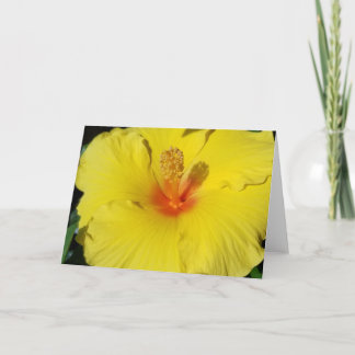 Cartão Hibiscus Notecard