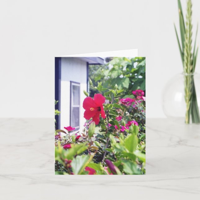 Cartão Hibiscus olá! (Frente)