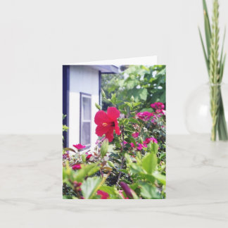 Cartão Hibiscus olá!