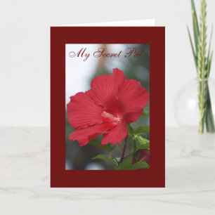Cartão Hibiscus vermelho, meu amigo secreto