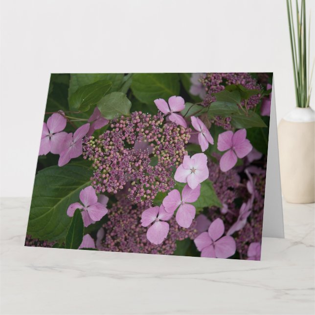 Cartão Hidrangea rosa (Frente)
