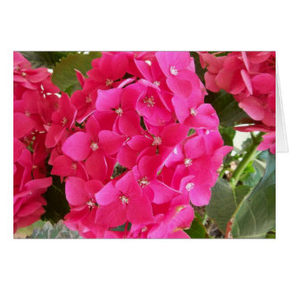 Cartão Hidrangea rosa