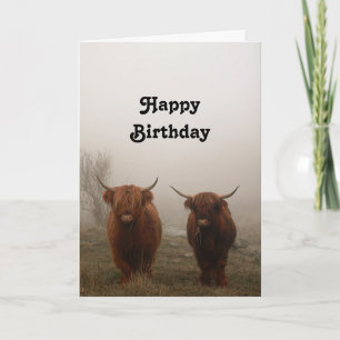 Cartão Highland Cattle Birthday