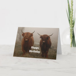 Cartão Highland Cattle Fog Photo Birthday
