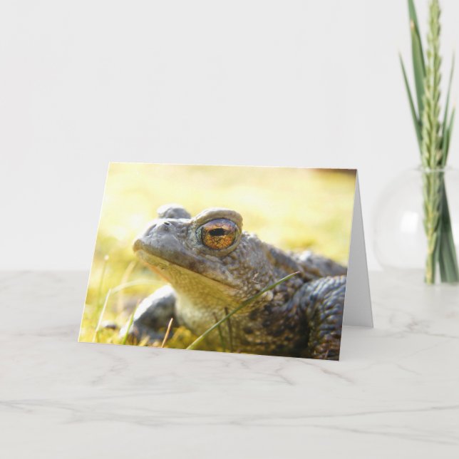 Cartão Hill End Toad (Frente)