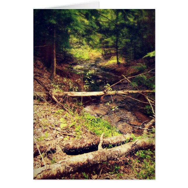 Cartão Hilton Creek (Frente)