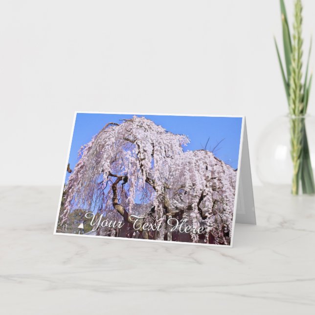 Cartão Himuro Shrine (Frente)