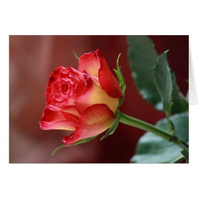 Cartão Hindi - Eu te amo (Frente Horizontal)