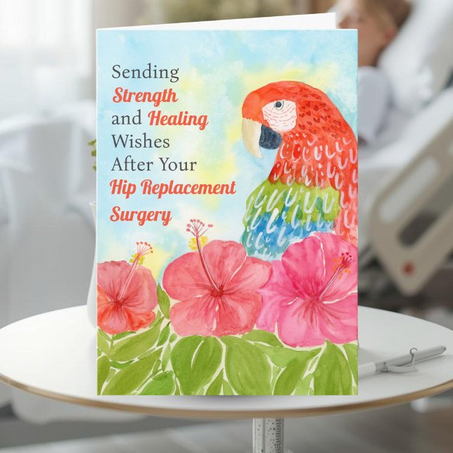 Cartão Hip Surgery Healing Scarlet Macaws, Hibiscus (Criador carregado)