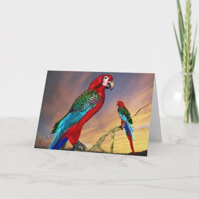 CARTÃO HIPER PARROS/ARA VERMELHA (Frente)