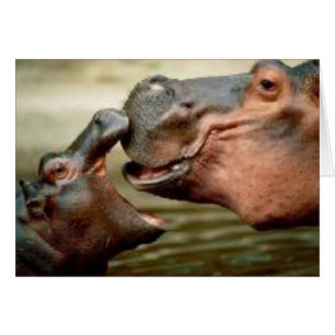 CARTÃO HIPOPÓTAMO