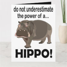Hipopótamo Animal Divertido Cumprimento Hipopótamo