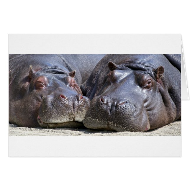 Cartão Hippo-78352 (Frente Horizontal)