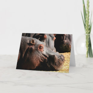 Cartão Hippo attitude customizable card